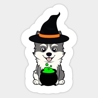 Funny Husky Dog is wearing a witch costume Sticker